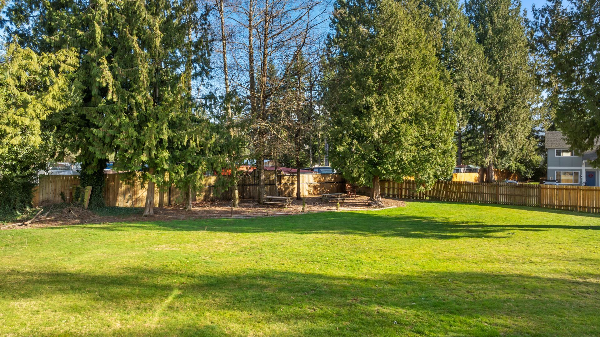 A large lawn with trees and a fence in the background.