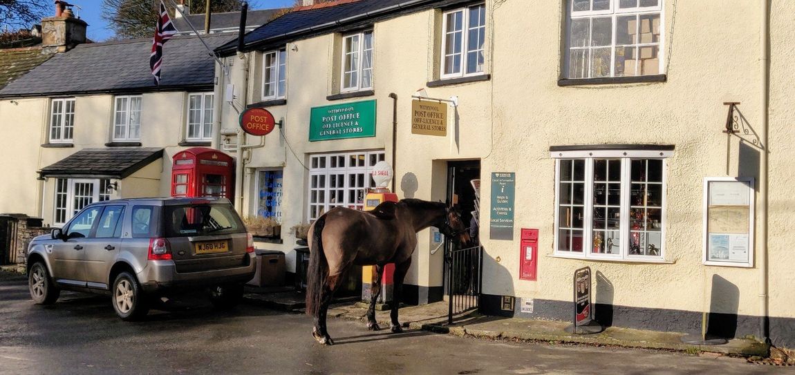 Horse Visits the Village Store
