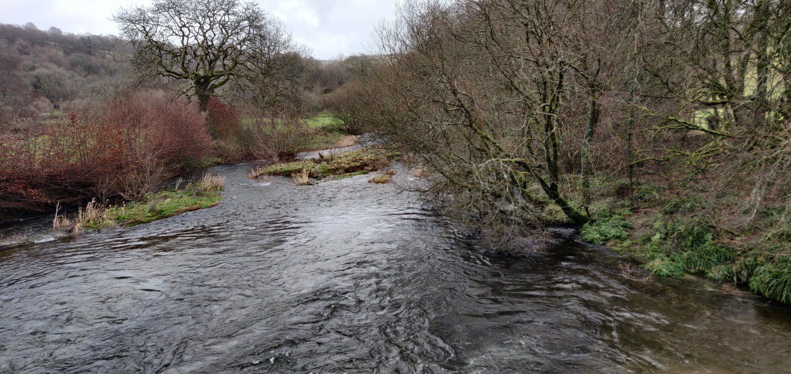 River Barle Rushing