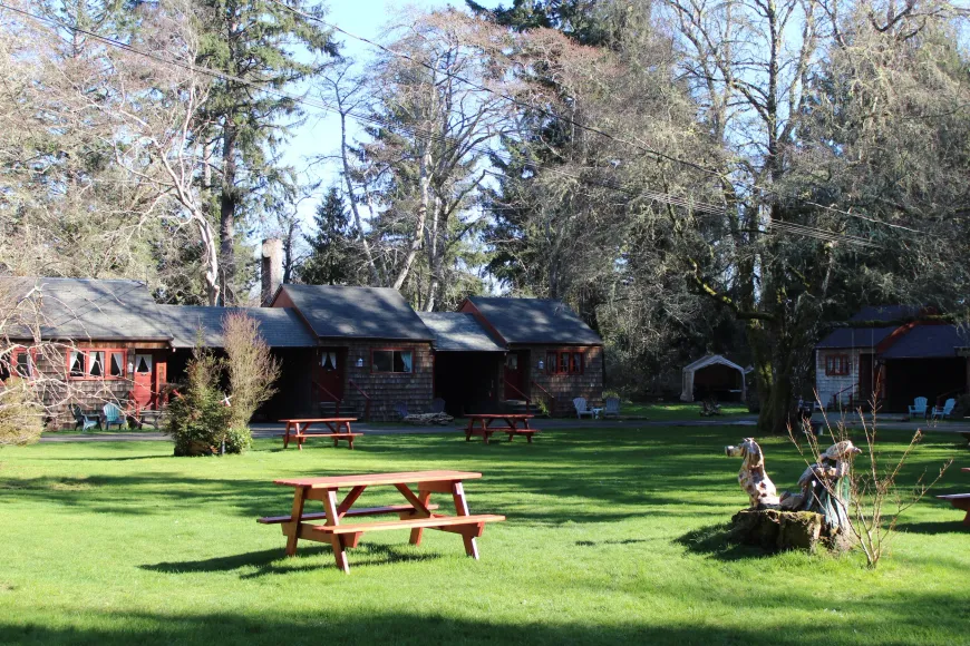 Rustic cabins beside a grassy lawn with picnic tables and tall trees in bright sunlight