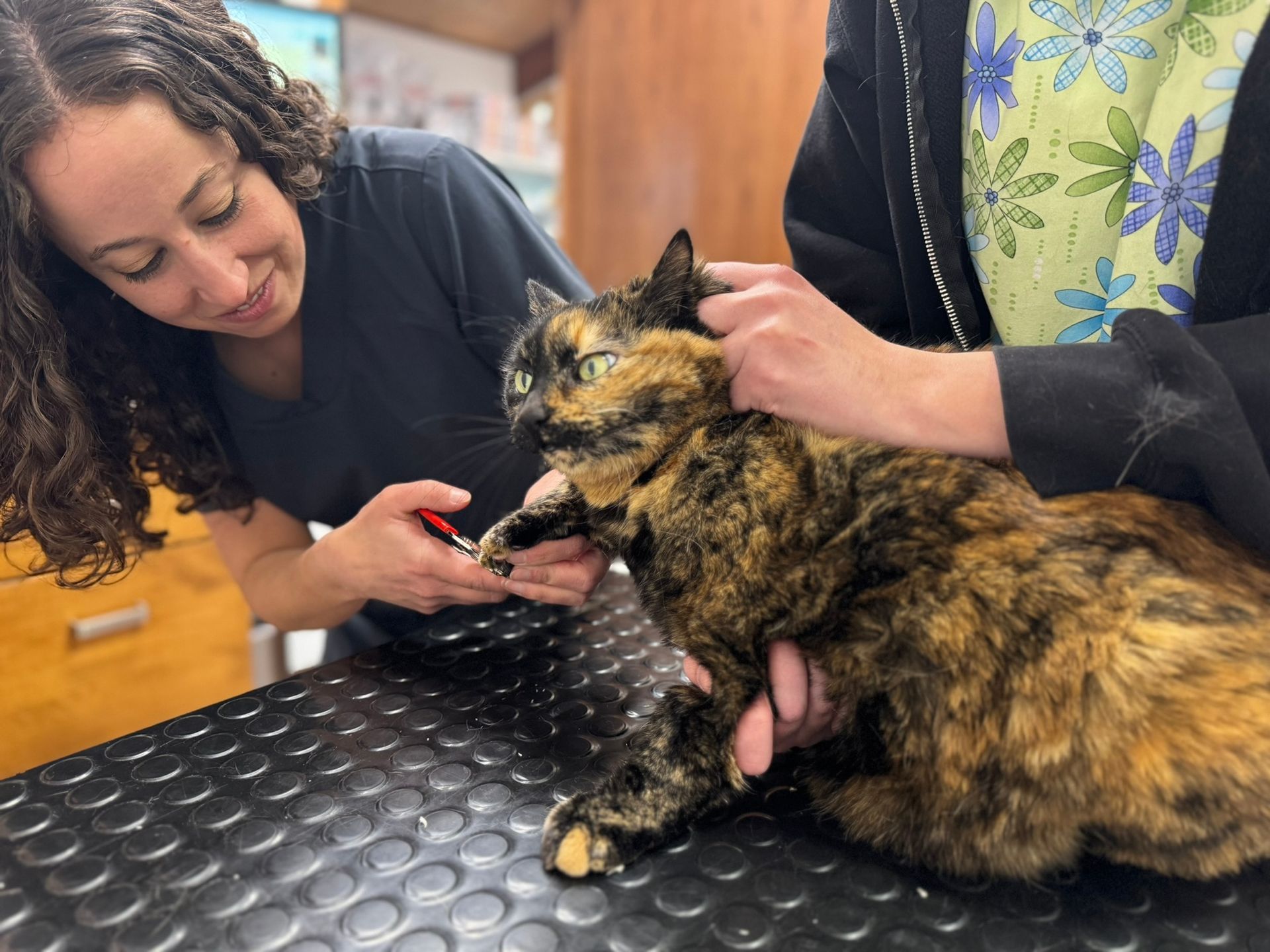 a woman is talking to a dog on a treadmill in a veterinary office .