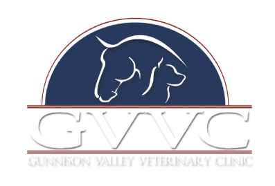 a logo for gunnison valley veterinary clinic