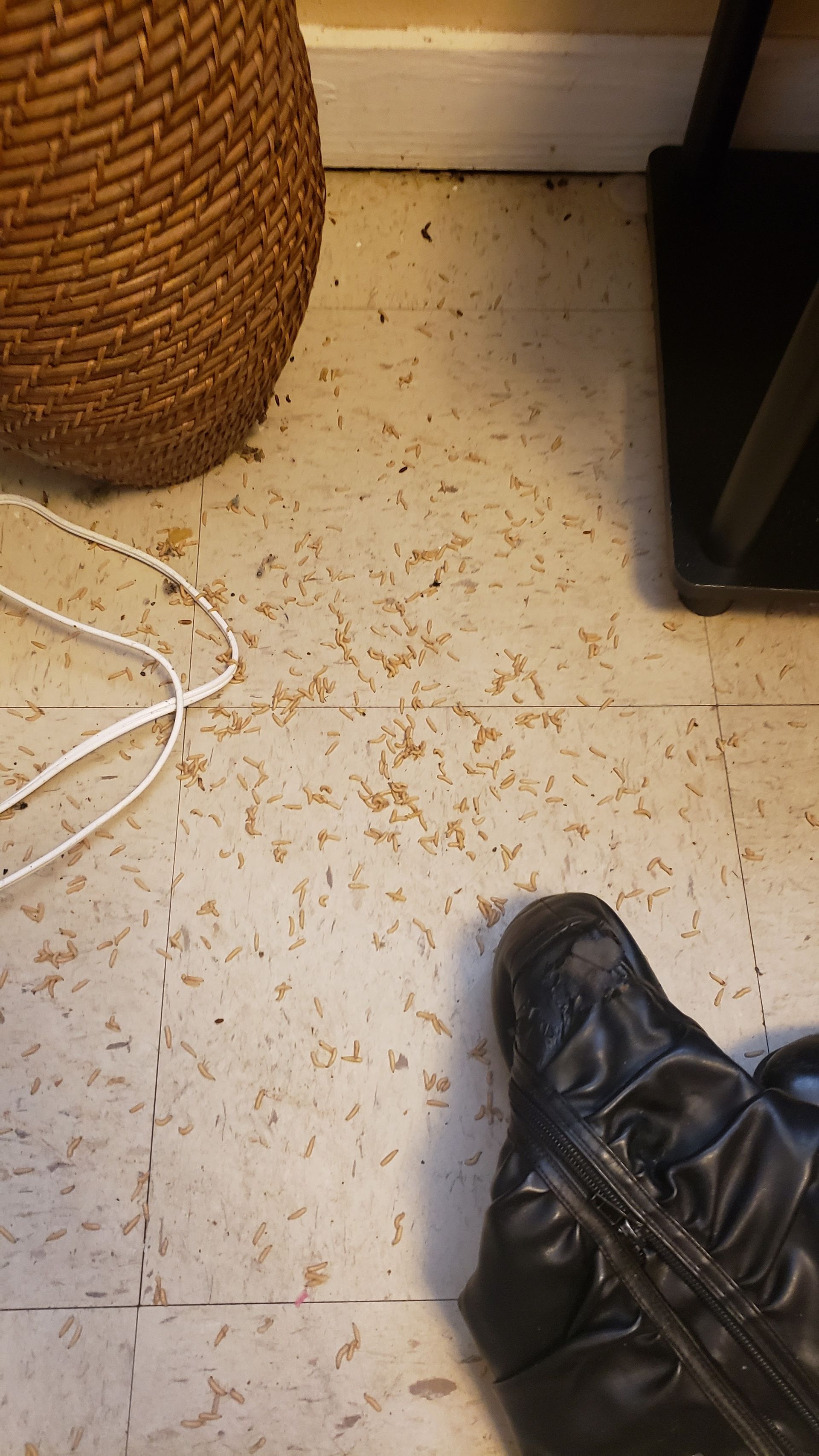 Floor covered in wood shavings, near a wicker basket and a boot.
