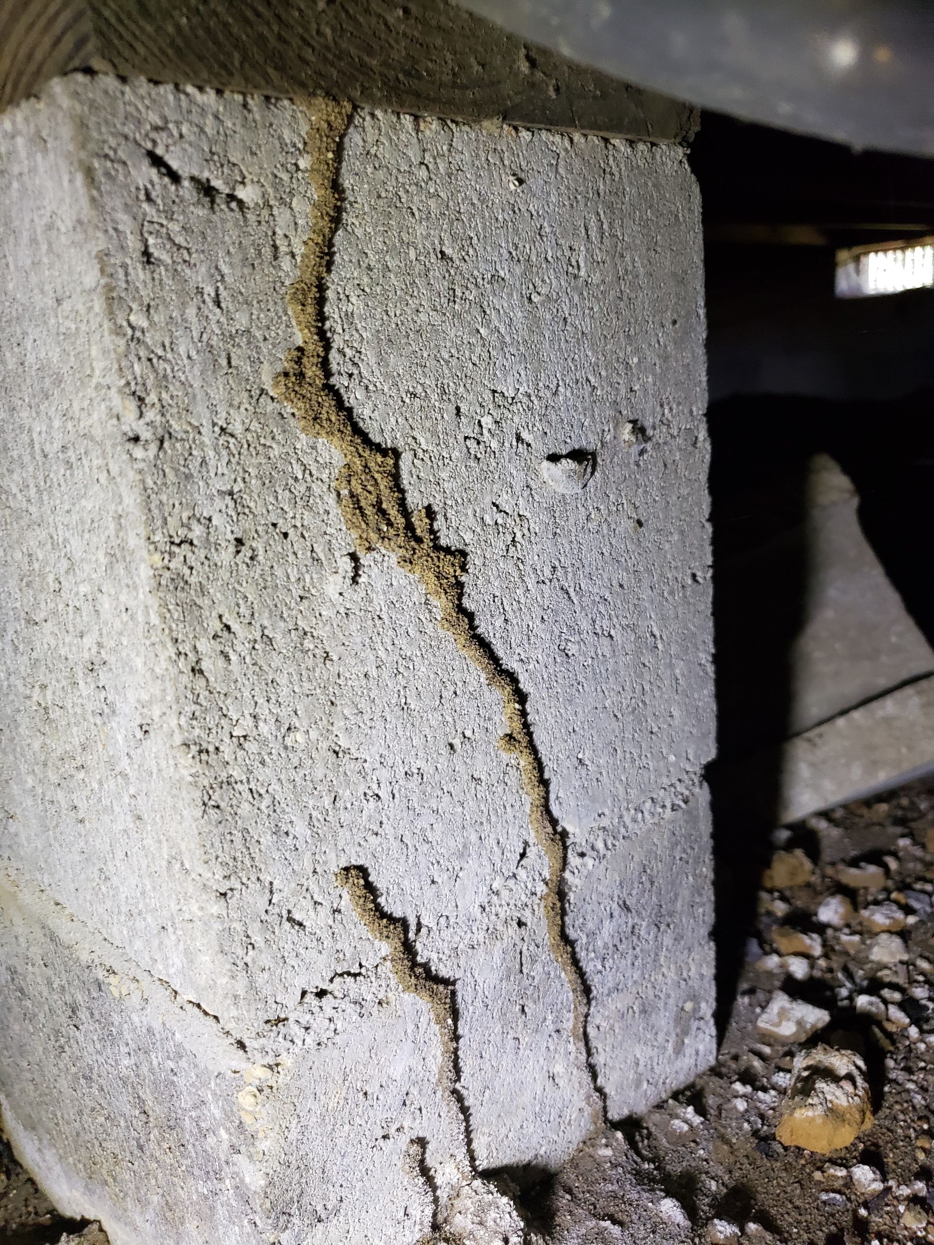 Concrete block with termite mud tubes.