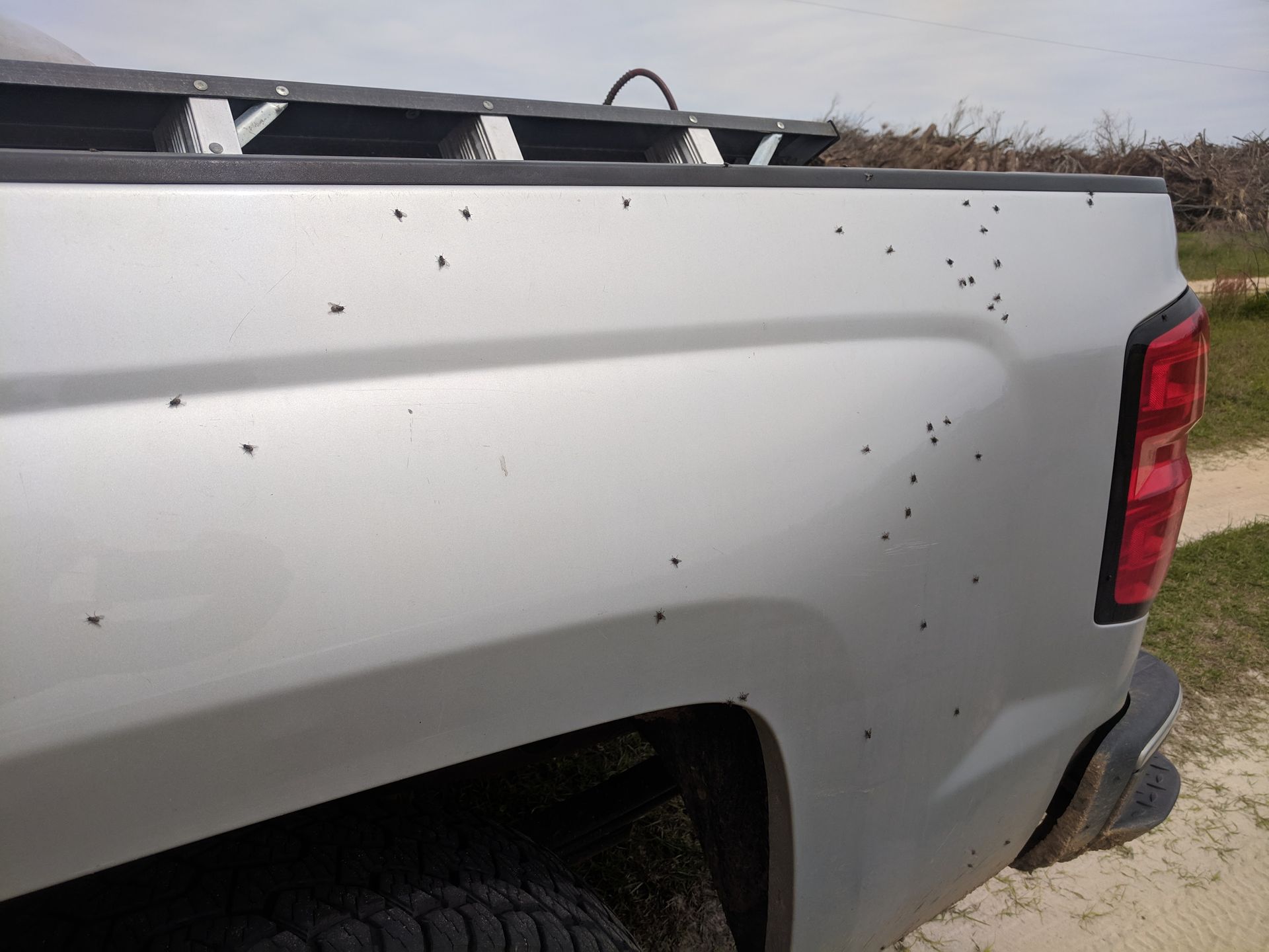 Silver pickup truck bed pockmarked with numerous small holes, likely from hail damage.