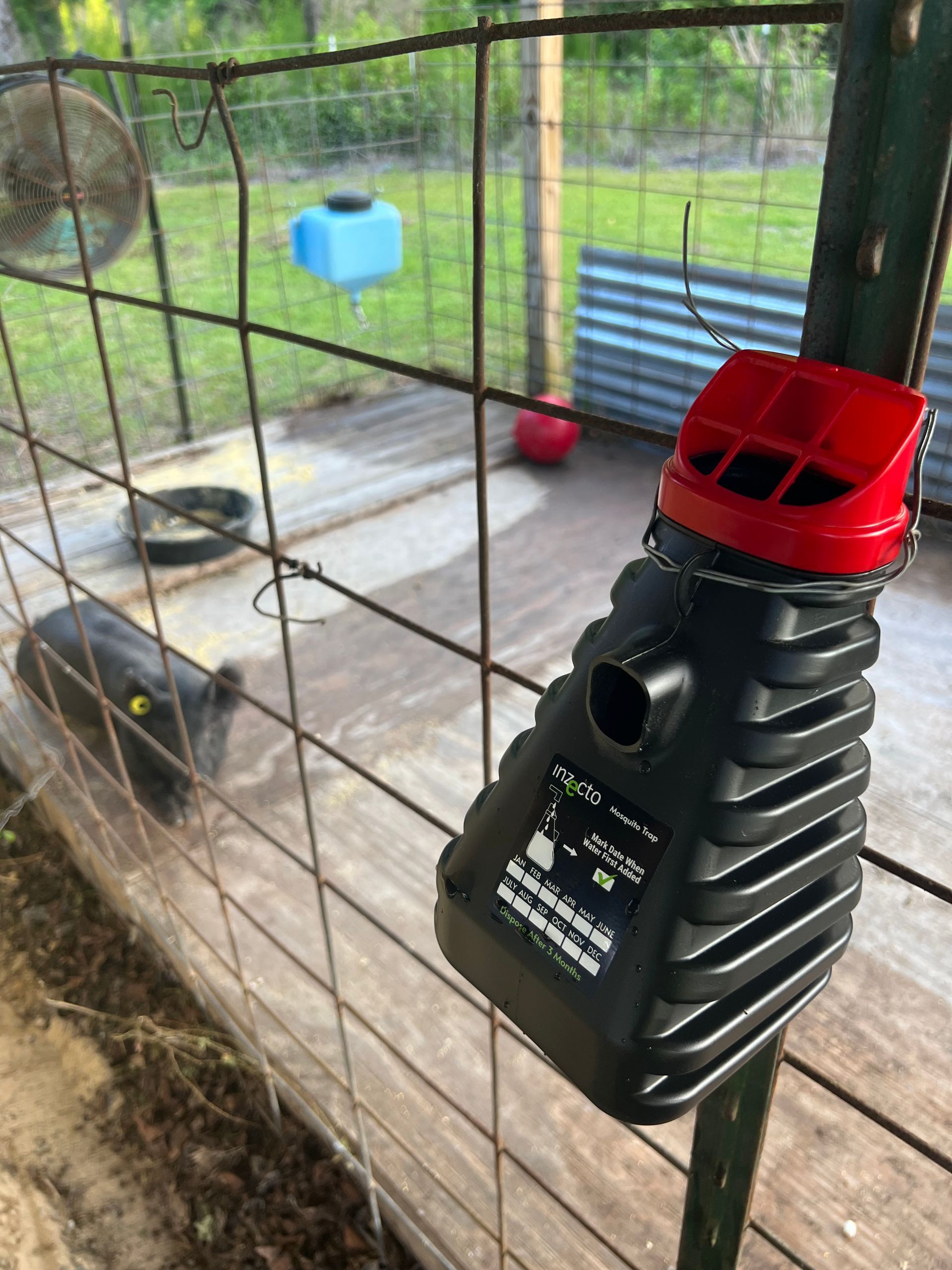 Black and red trap hanging on a fence, with background of an animal pen.