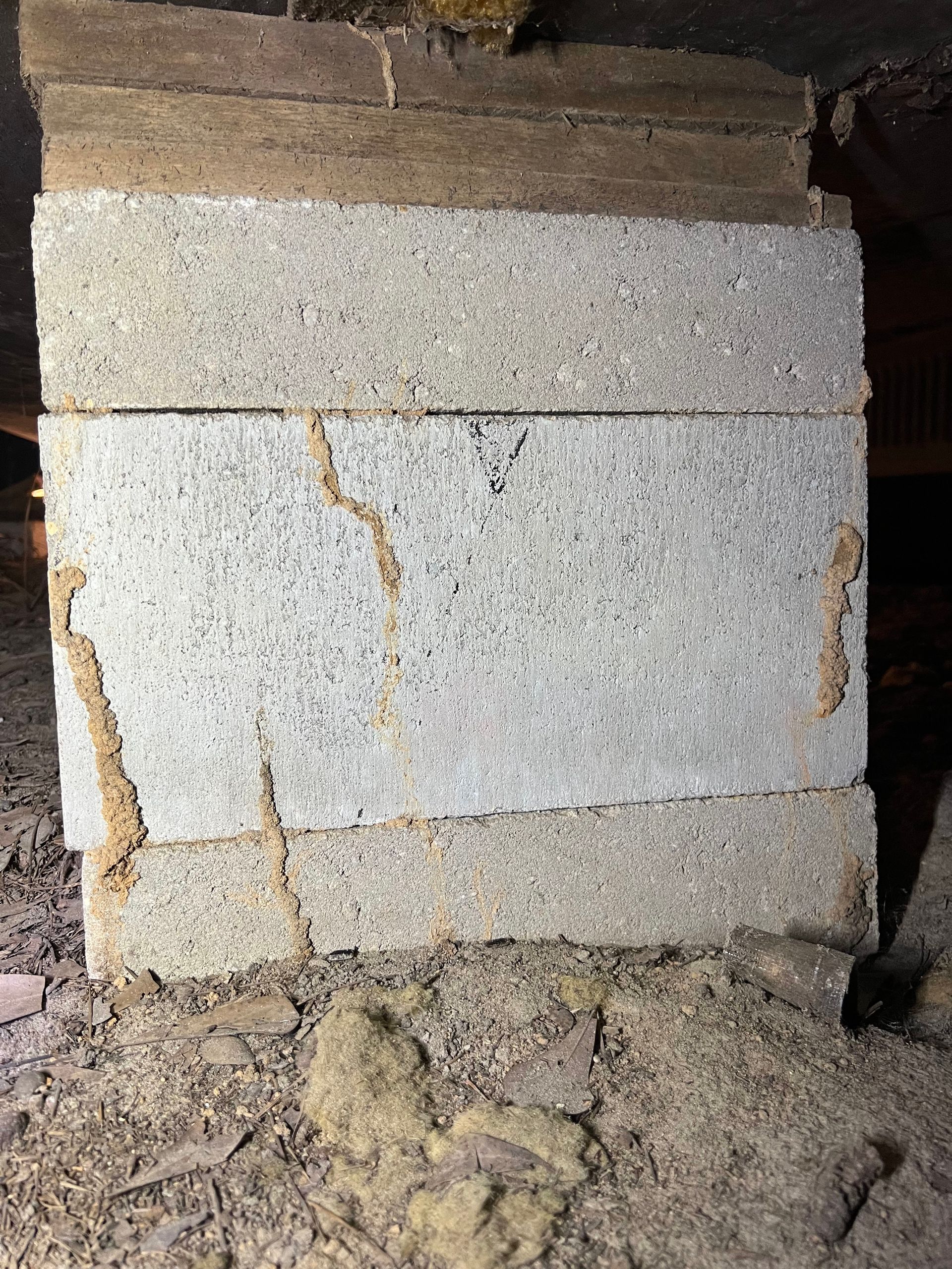 Termite damage on stacked concrete blocks. Brown mud tubes are visible on the blocks.