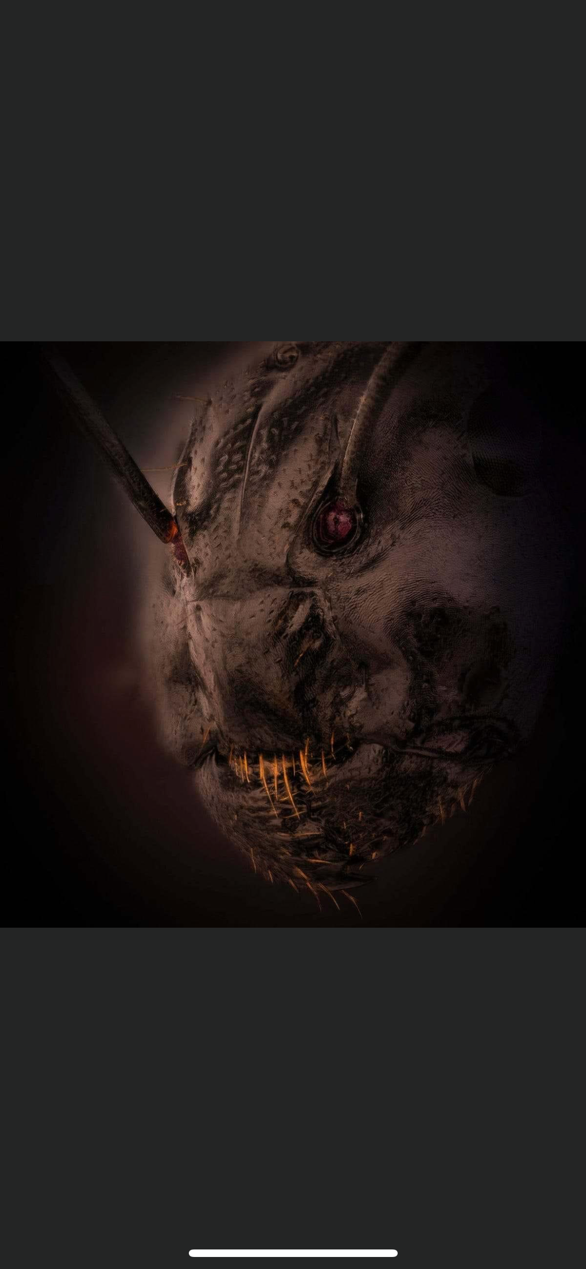 Close-up of a menacing-looking ant's head with visible mandibles and a dark background.