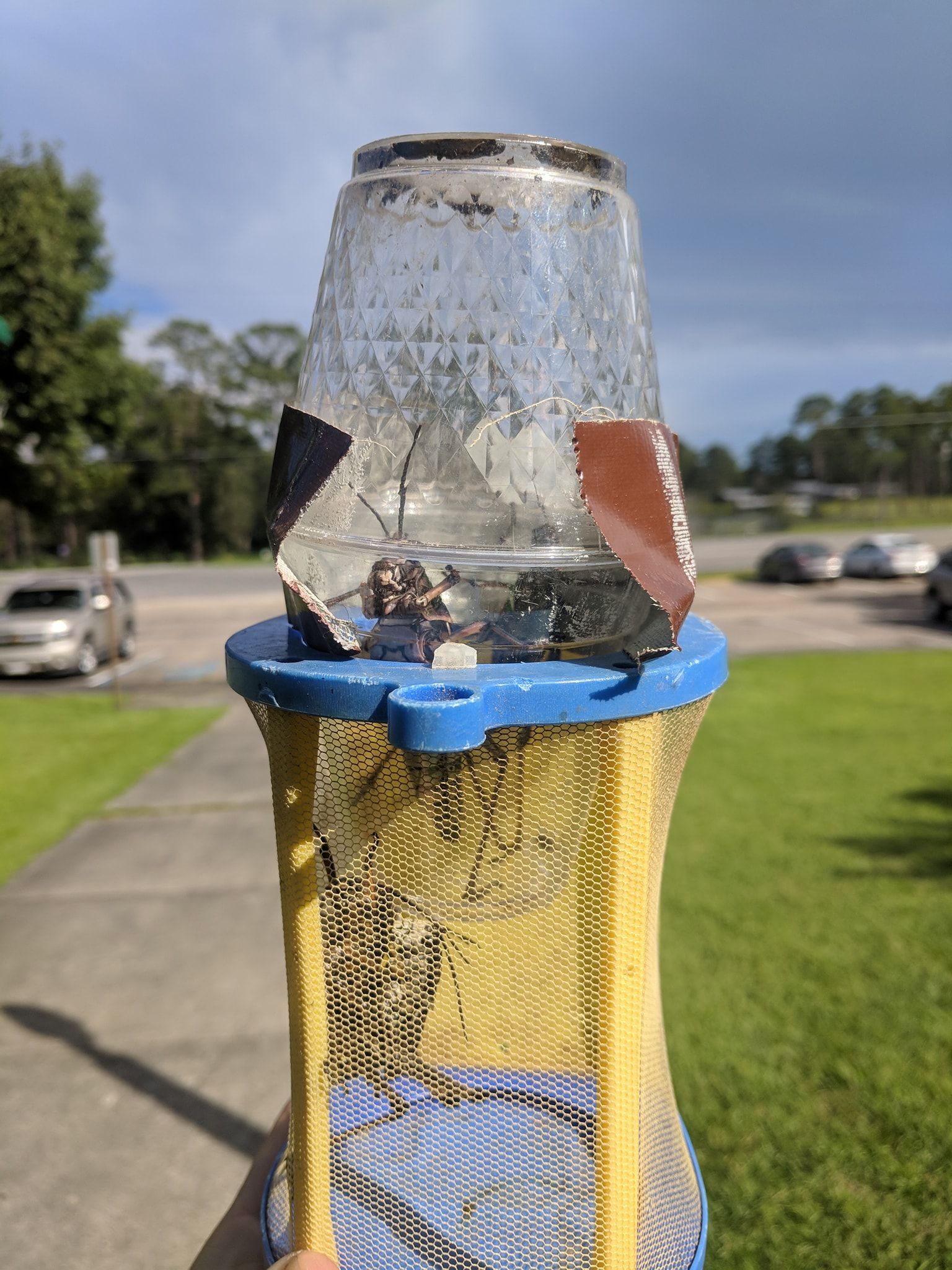 Jar-like container atop a yellow cage, held outdoors. Glass jar is broken, blue rim, sunny day.