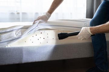 Person inspecting a mattress for pests with a flashlight, highlighting infestation.