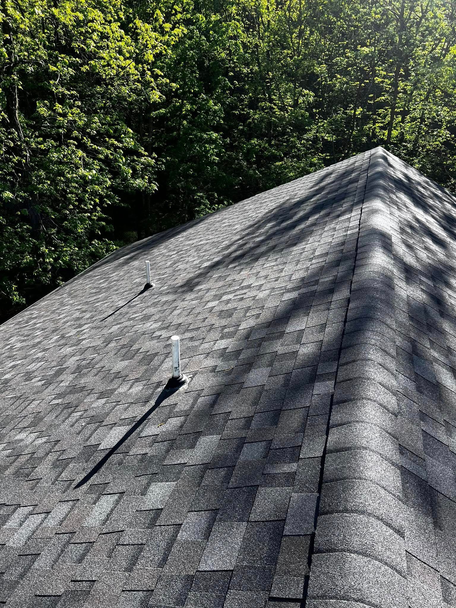 A close up of a roof with trees in the background.