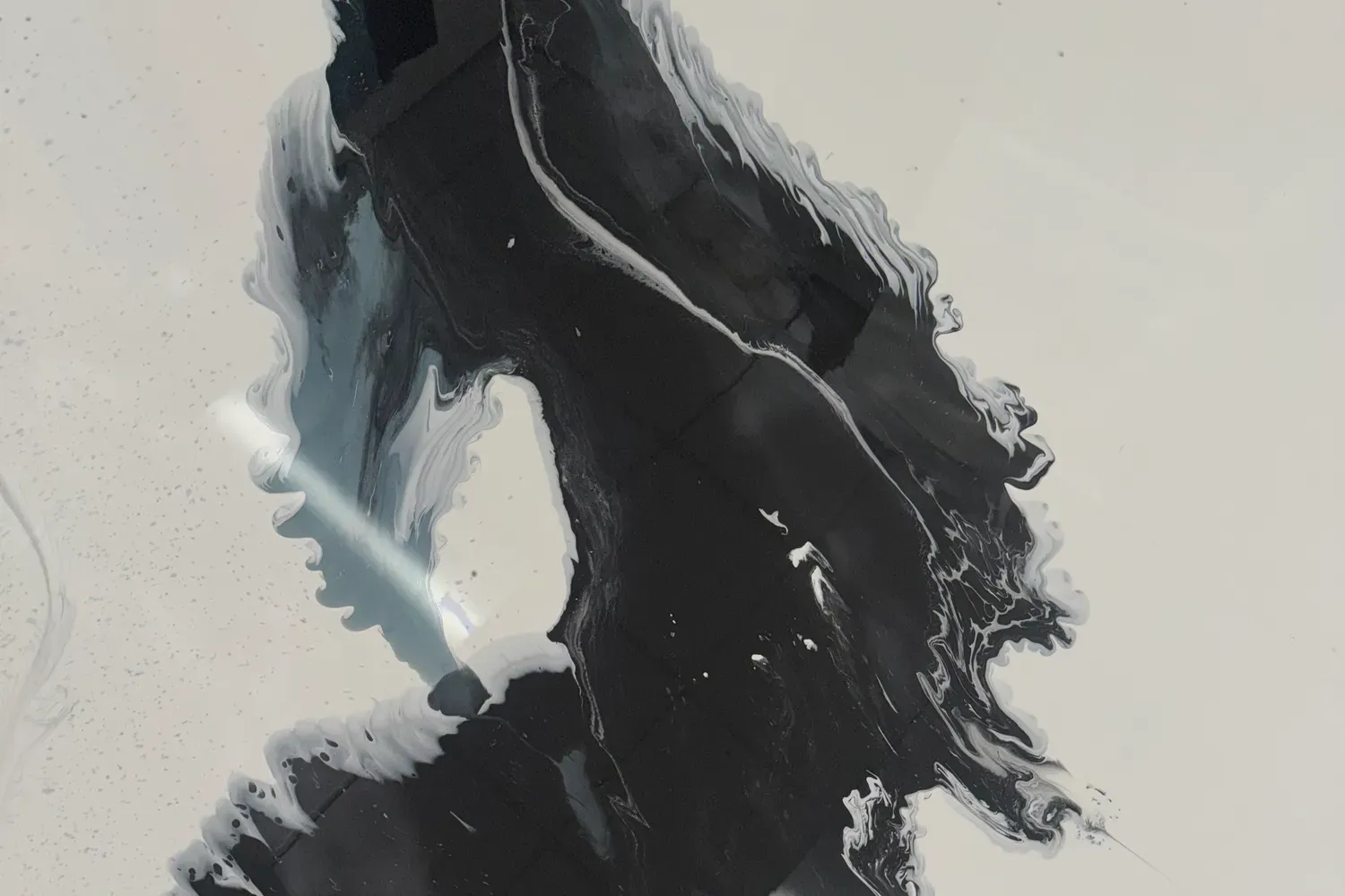 Abstract black-and-white ink brushstroke on a light background