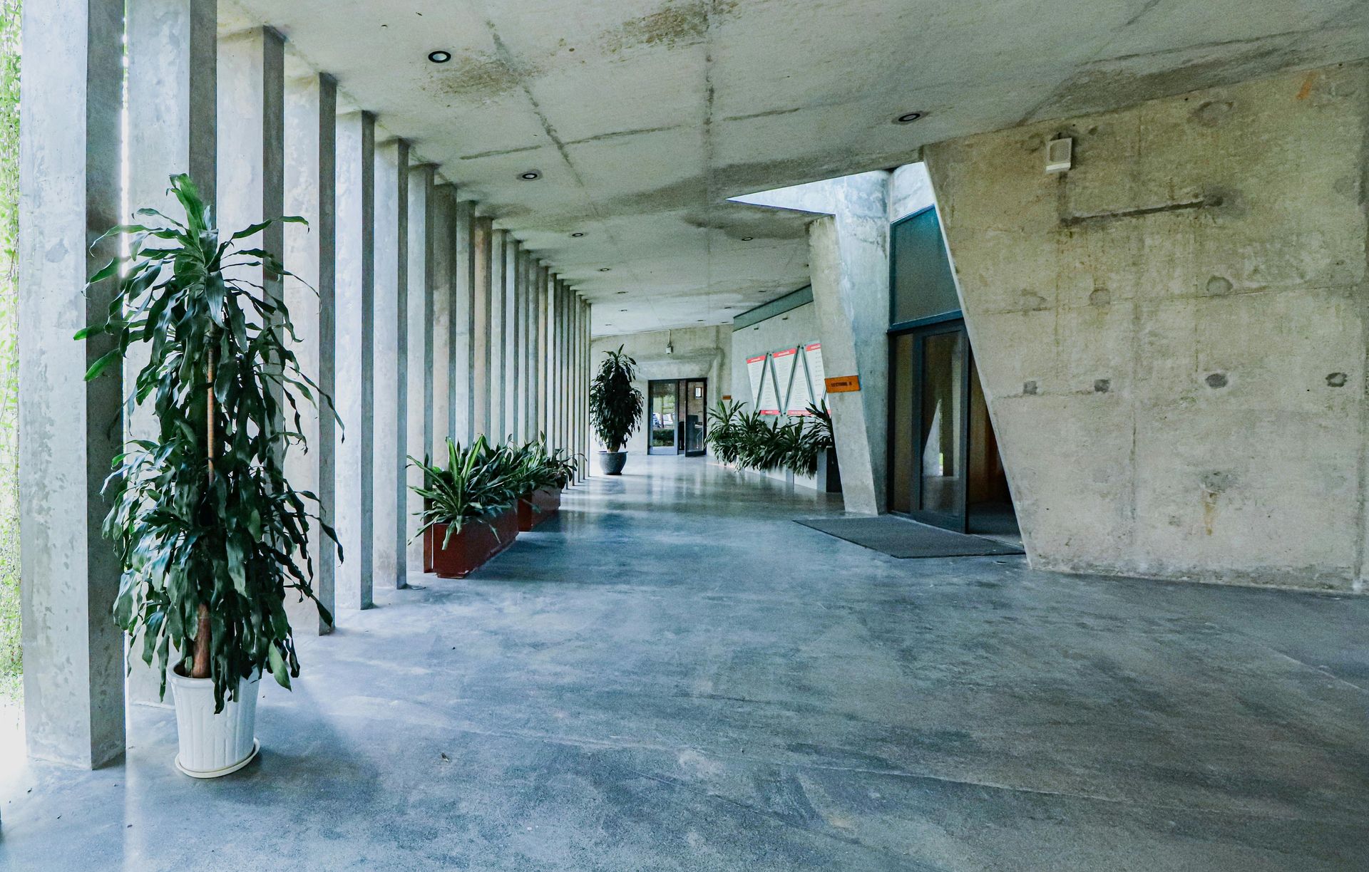 Modern concrete corridor with potted plants and tall windows along the left side