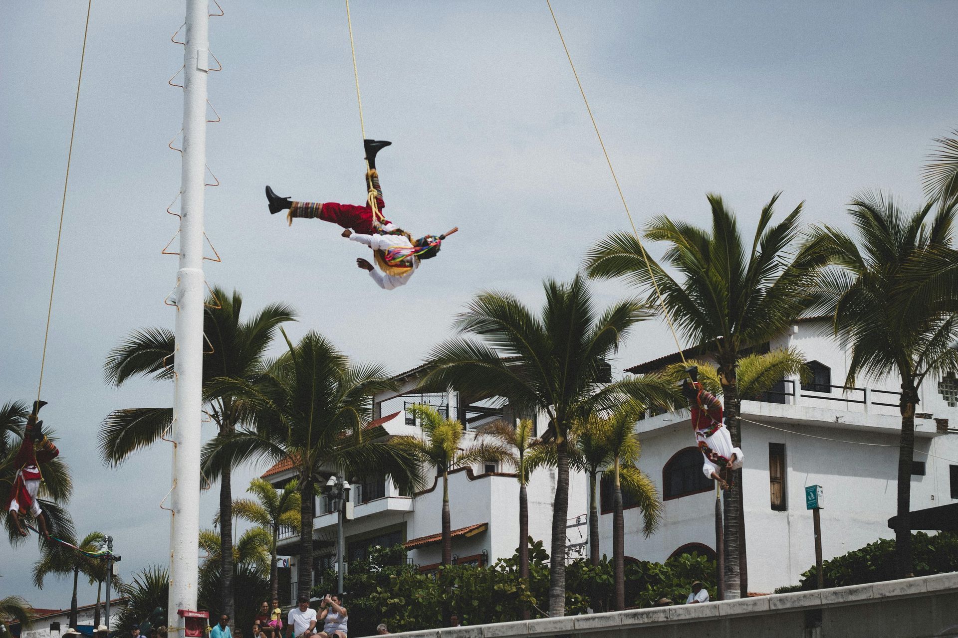 Acrobat upside down on a trapeze above palm trees and white buildings