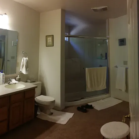 A bathroom with a toilet a sink and a walk in shower