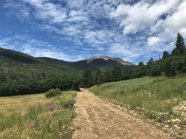 A dirt road going through a grassy field with mountains in the background.