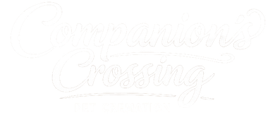 Faint white cursive text reading “Crossing” on a nearly white background