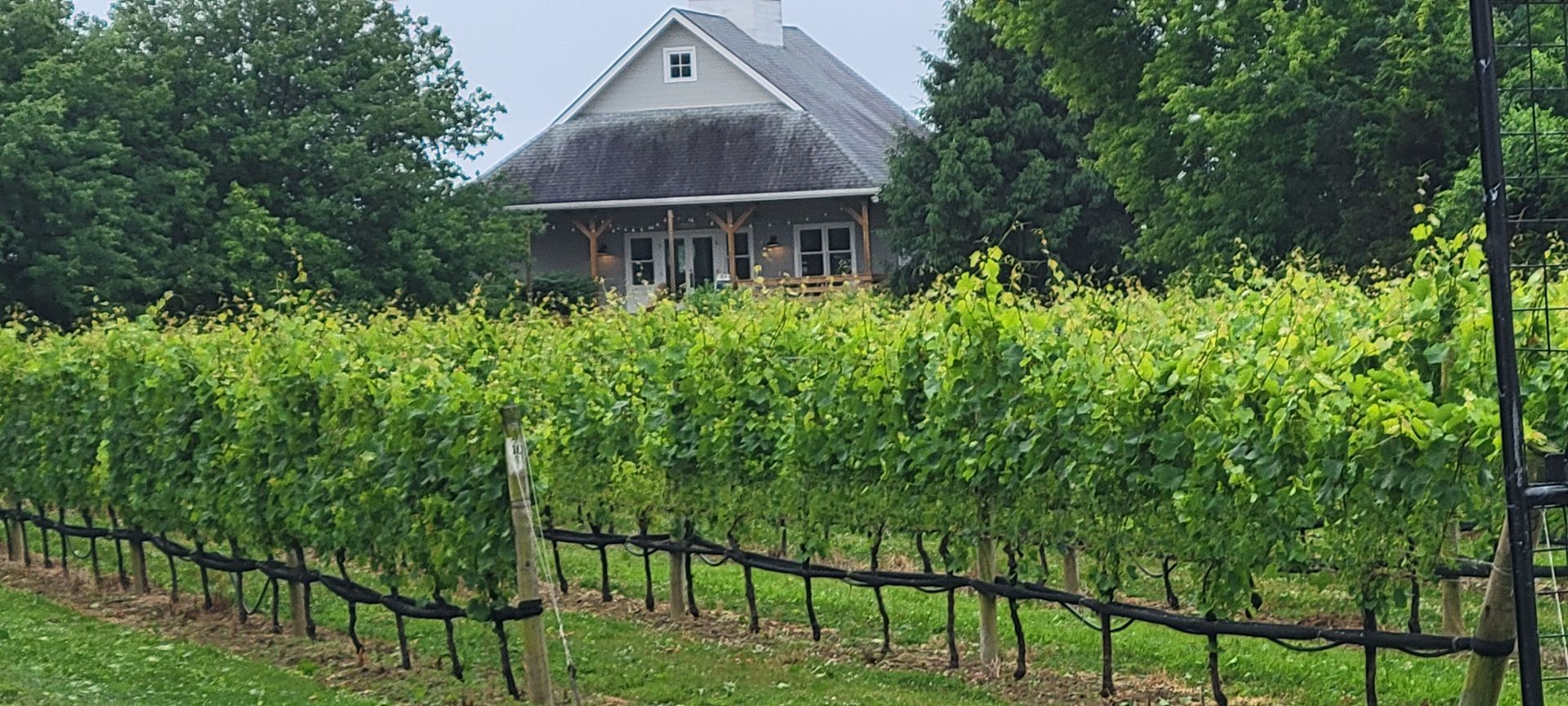 Corey Creek Vineyard Front View