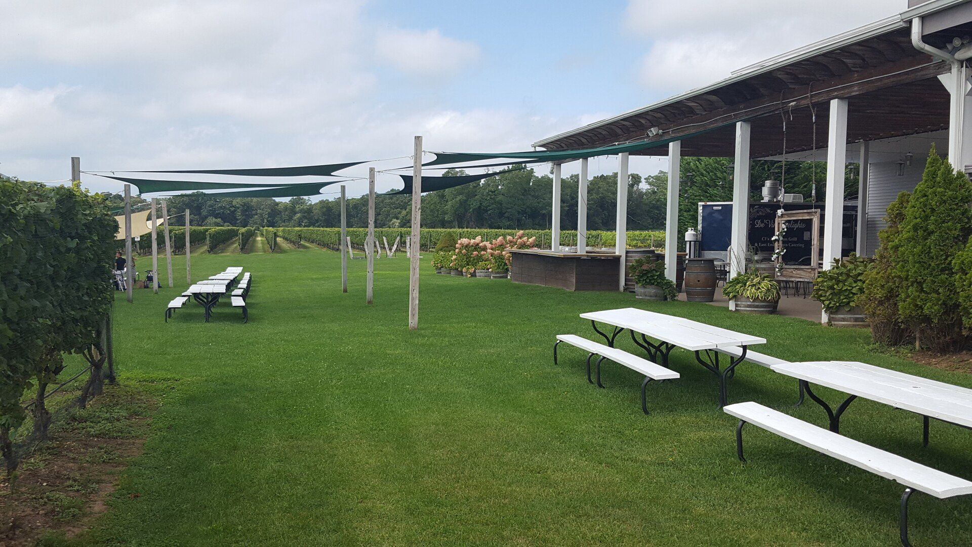 EV and EM Vineyard - yard area