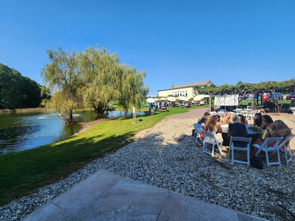 East End Wine Tasting Tours - Pugliese Vineyard