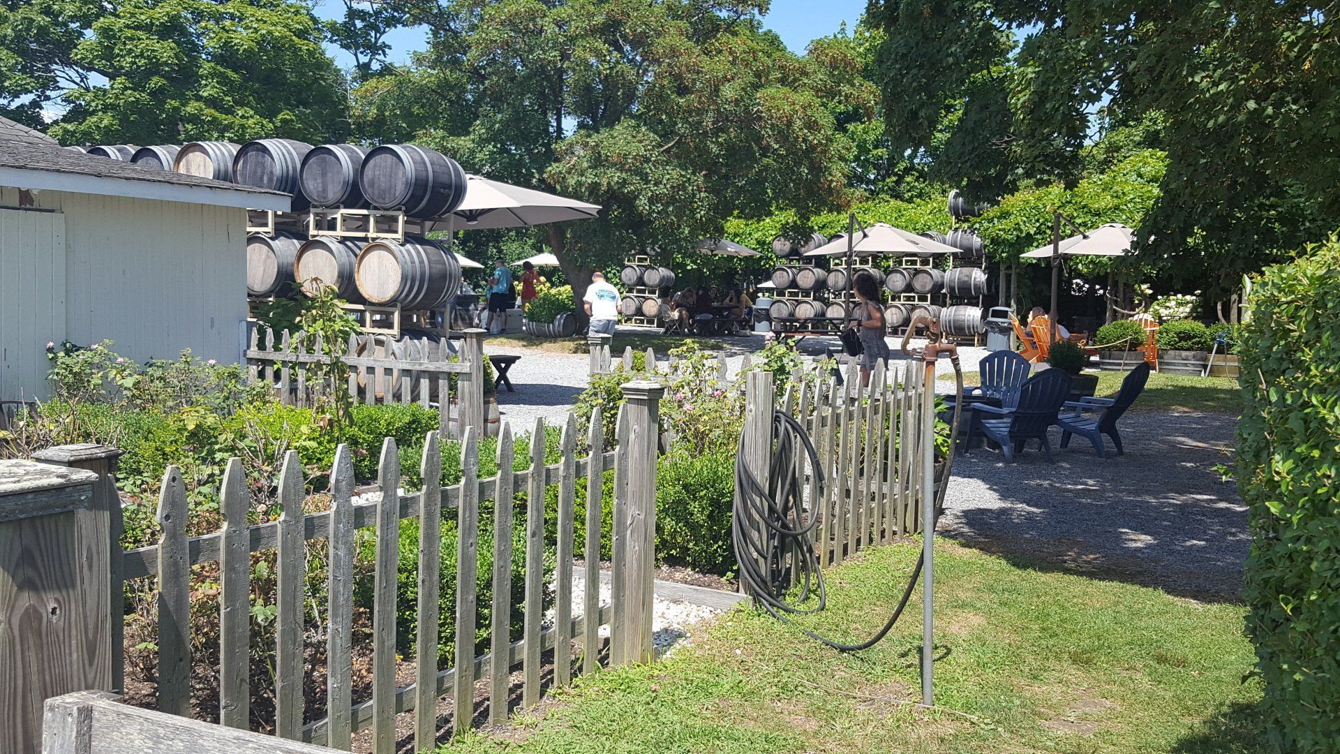 Lenz Vineyard Courtyard Tasting