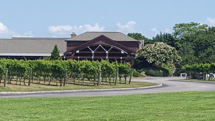 Macari Vineyard Tasting Room - Public and Private Spaces