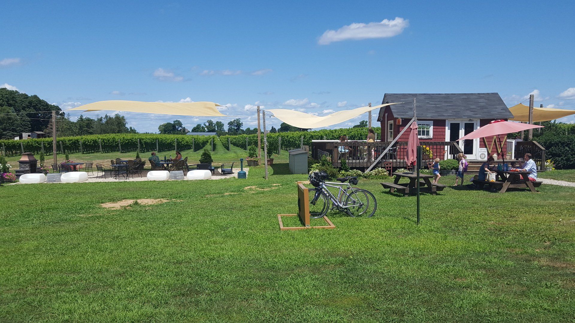 One Woman Vineyard Tasting Shed - Long Island Wine Tours