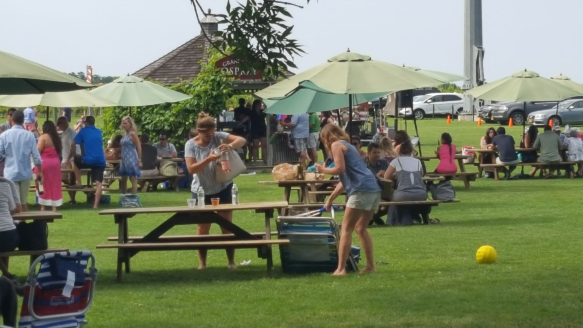 Outdoors at Osprey's Dominion -  Lively economical vineyard on weekends