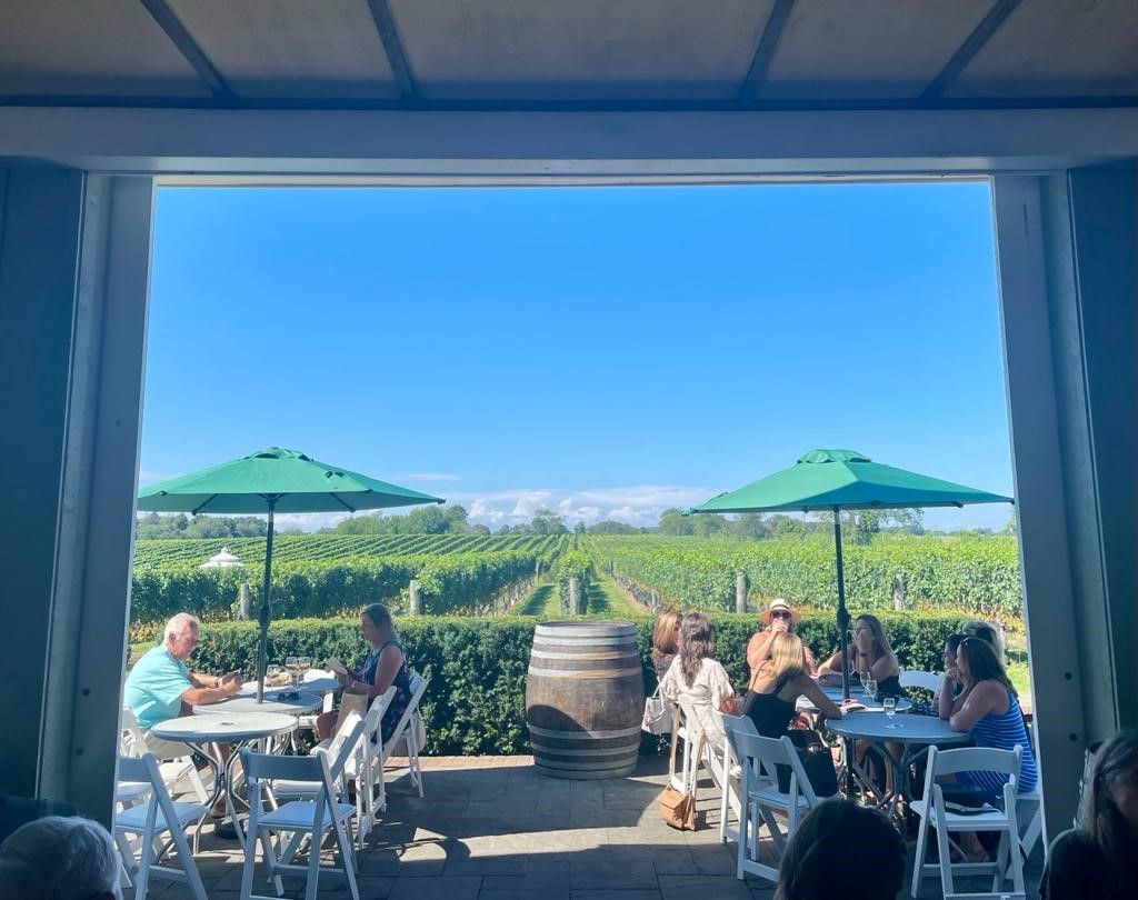 Pellegrini Vineyard Rear Patio overlooking Vines