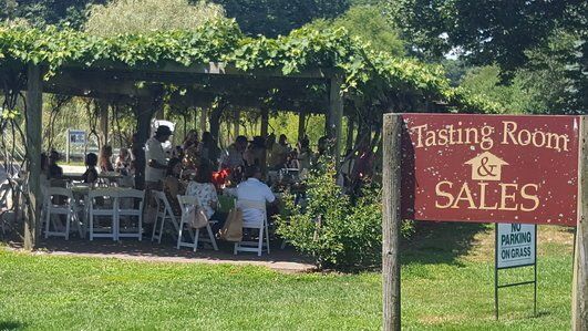 Pugliese Vineyards outdoor patio and pond – affordable Long Island wine tastings