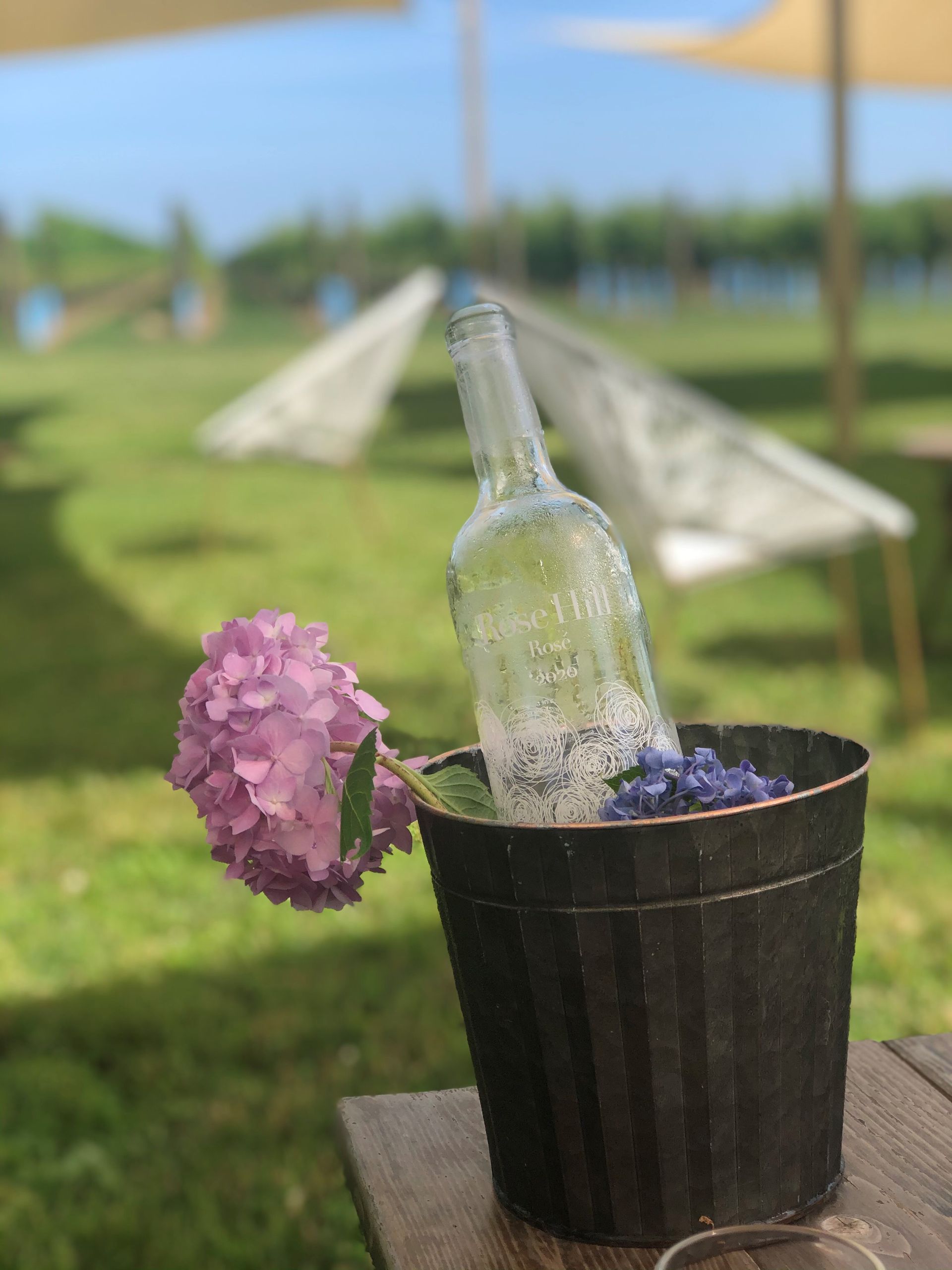 Rose Hill Vineyard Bottle in Ice Bucket display