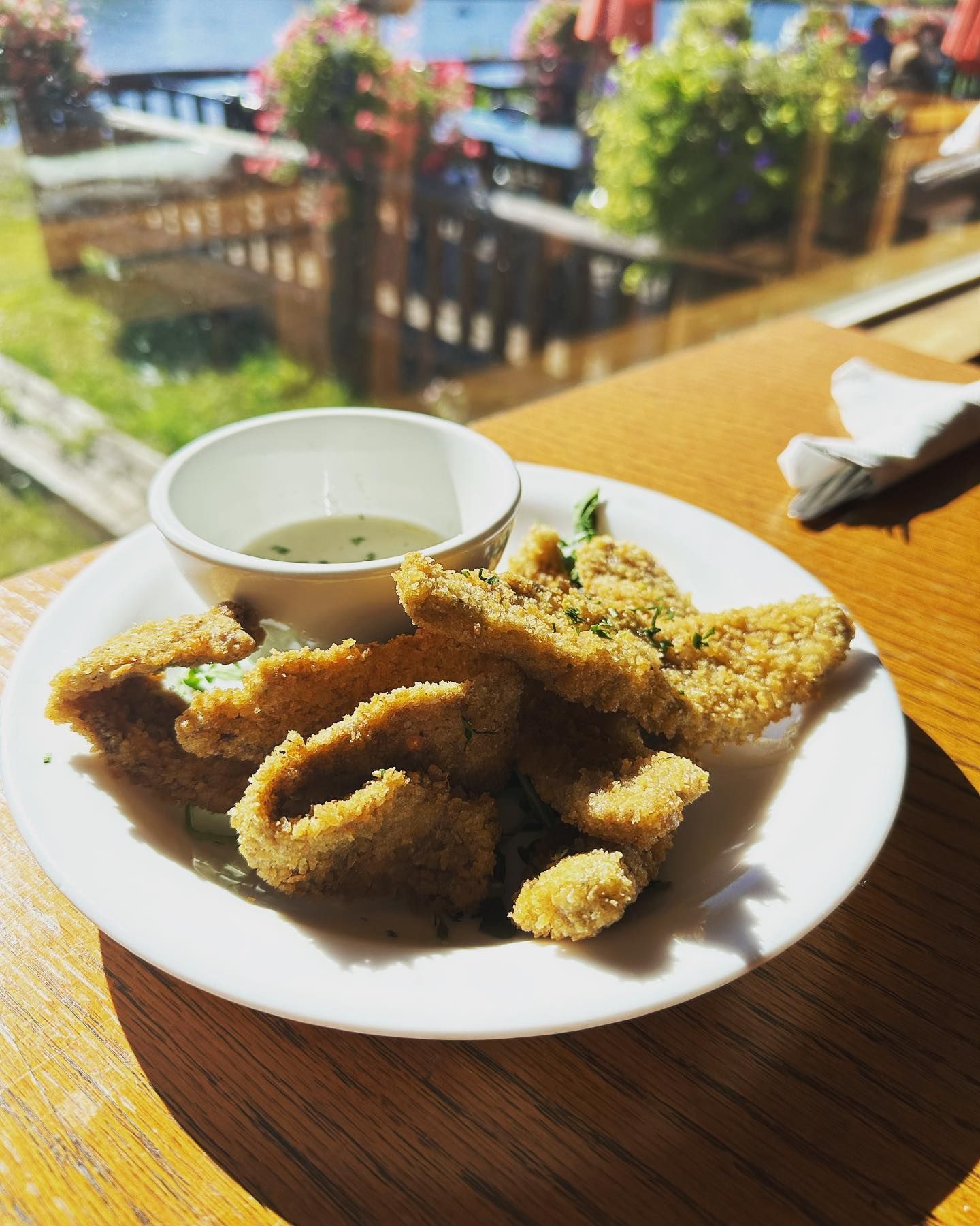 Plate of fried food with dipping sauce, on a table. Blurred outdoor view.
