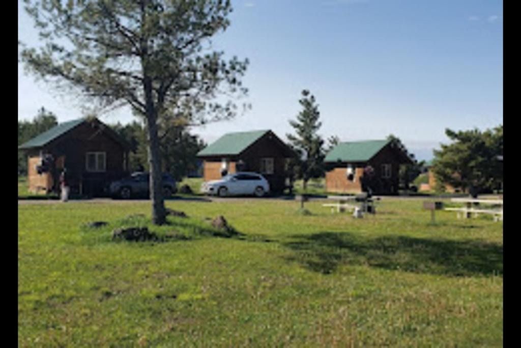 Cabin lodging in a grassy area with cars parked outside on a sunny day.