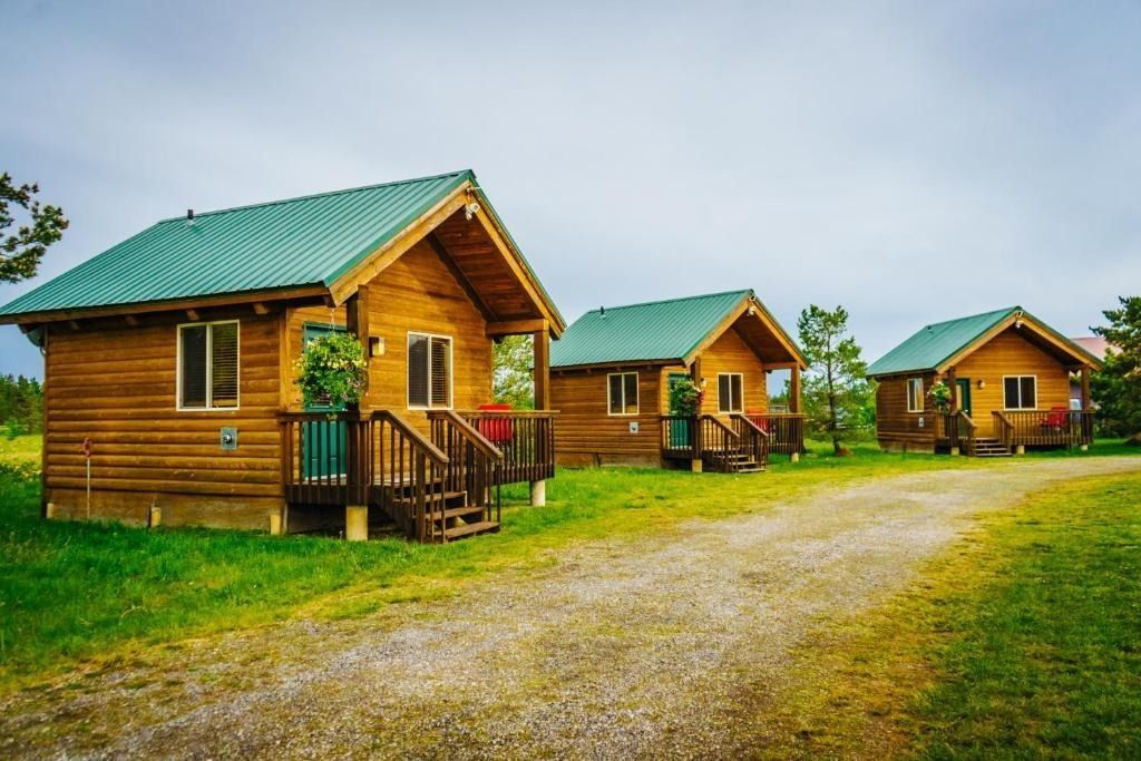 Three wooden cabins with green roofs on a gravel path, surrounded by grass.