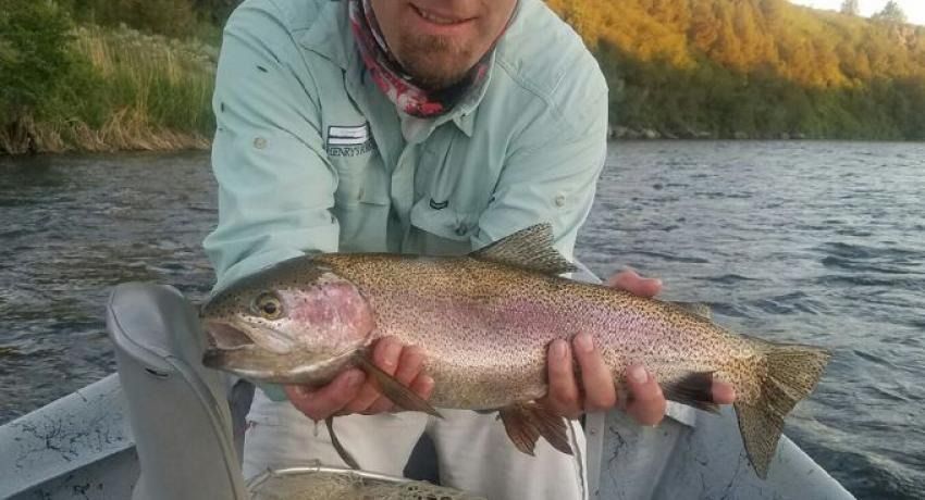 Man in light green shirt holding a rainbow trout on a boat.