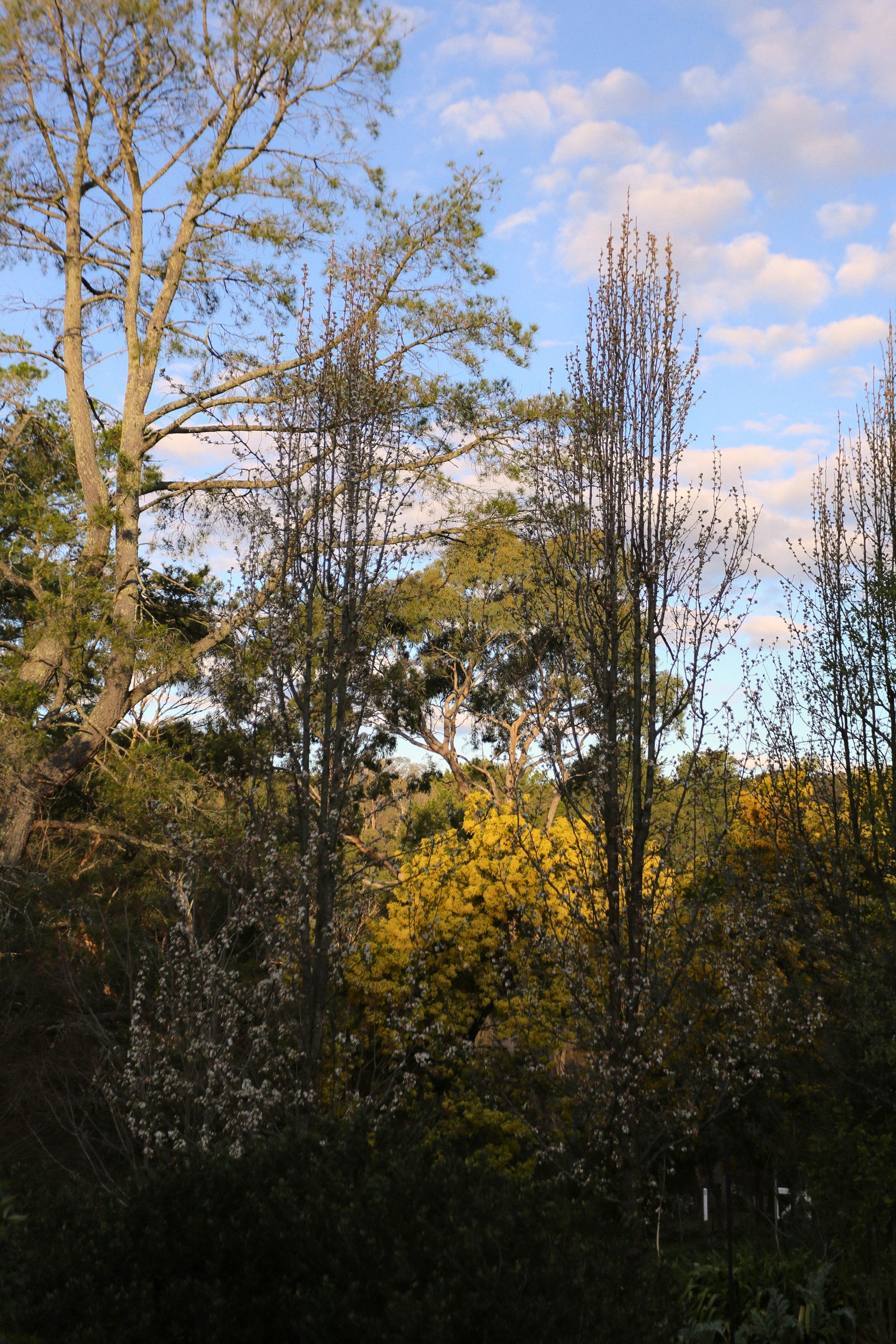 Double brick beautiful gardens