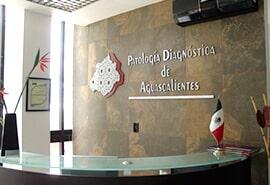 DRA. GUILLERMINA ERÉNDIRA PEDROZA HERRERA