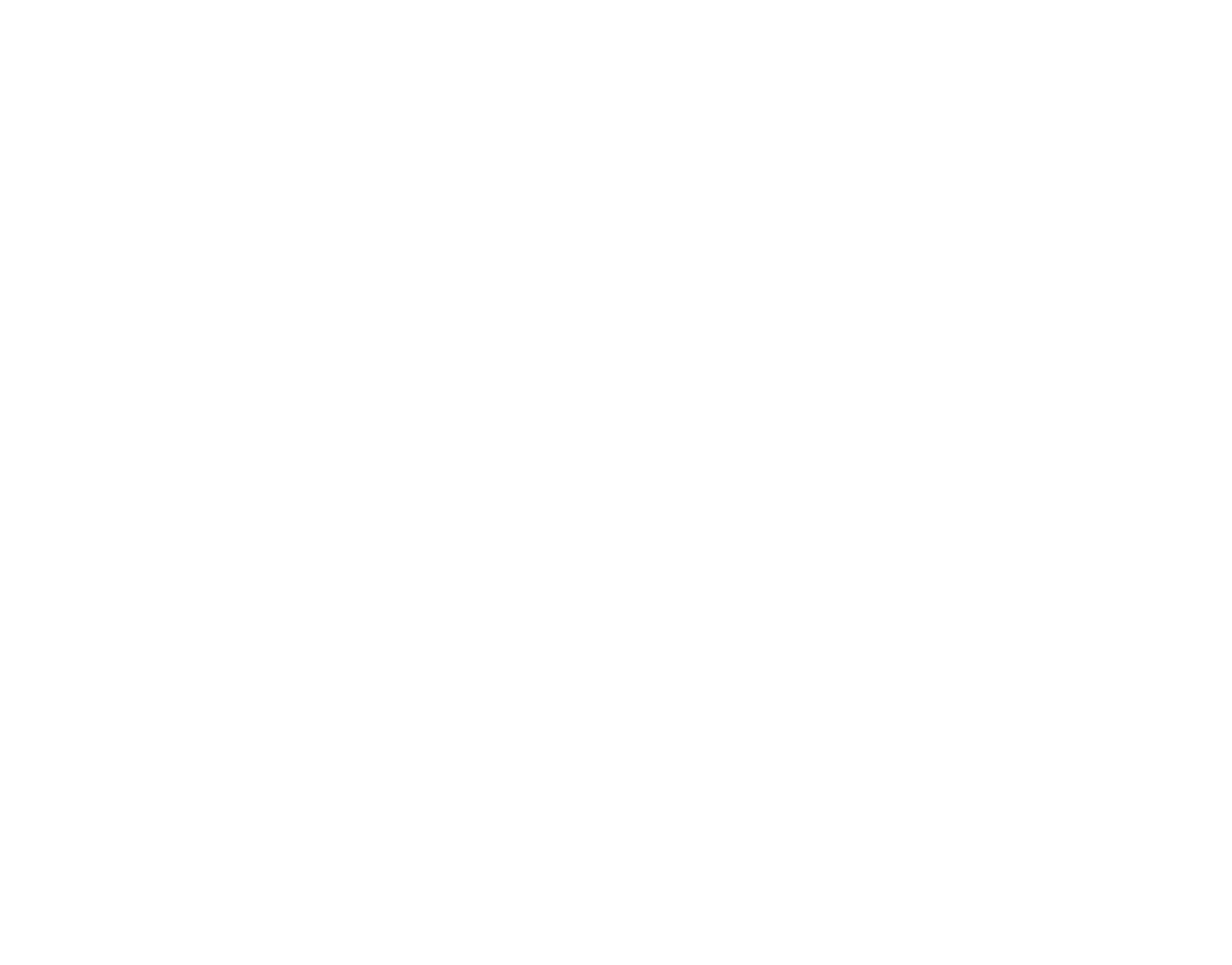Advanced Equine Construction