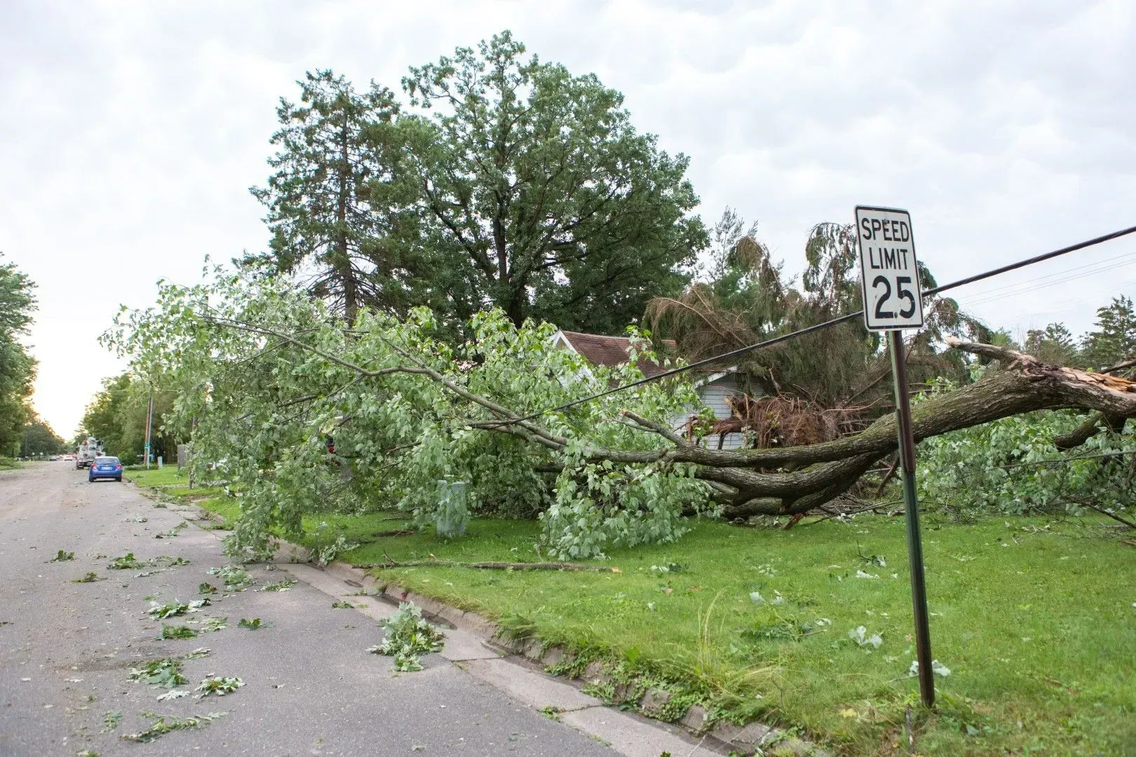 Large tree limb fallen across neighborhood street.