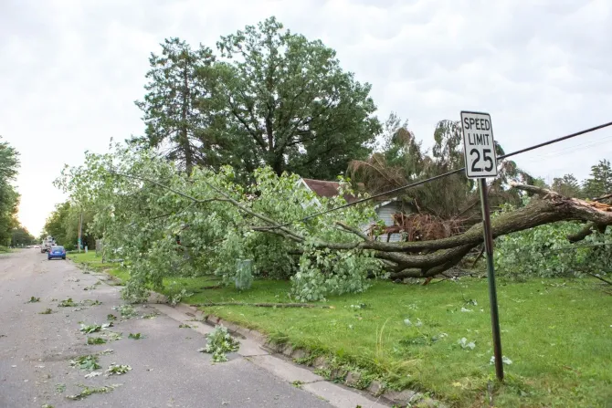 Large tree limb fallen across neighborhood street.