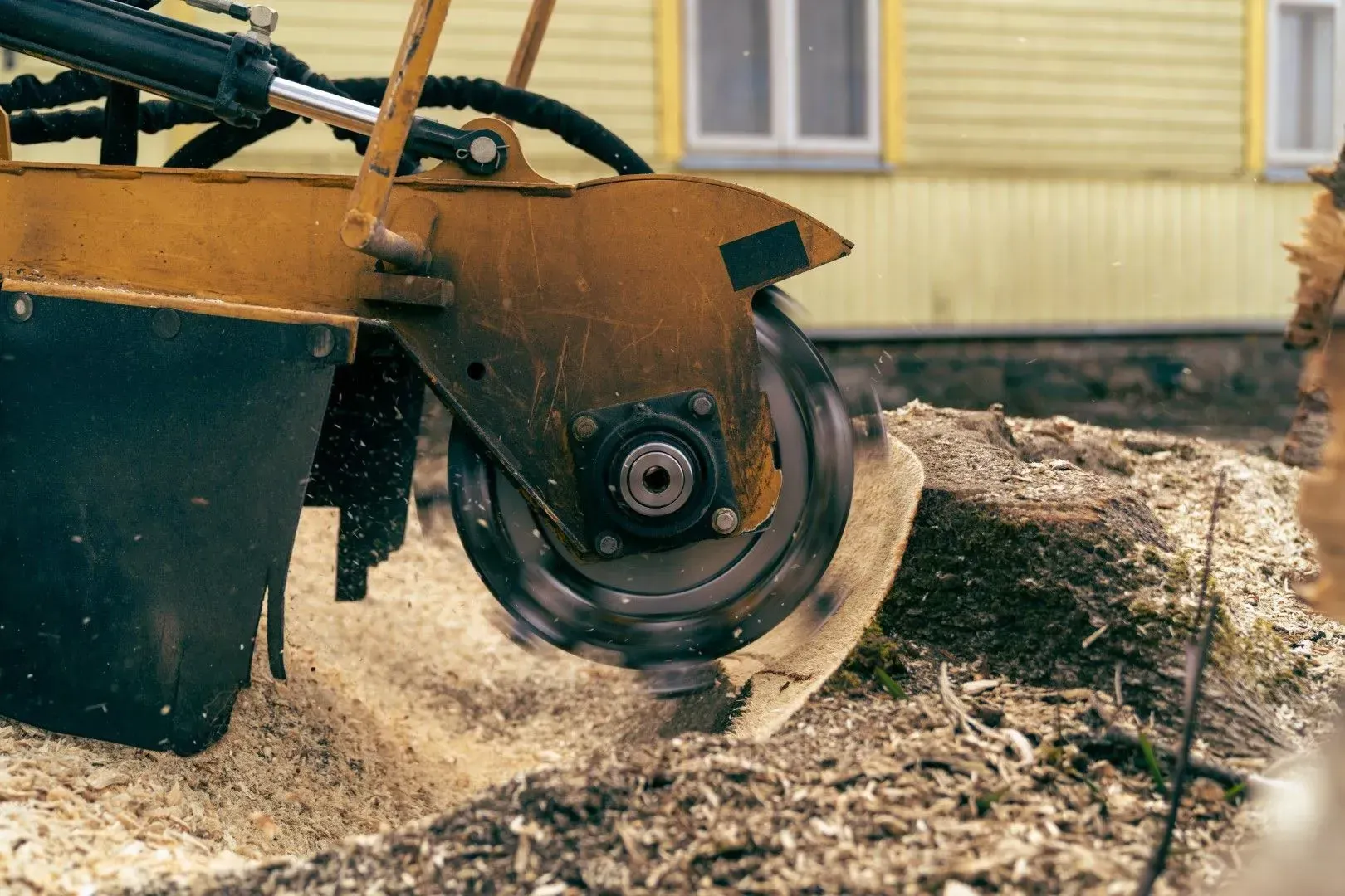 Close-up of mechanical stump grinder in operation
