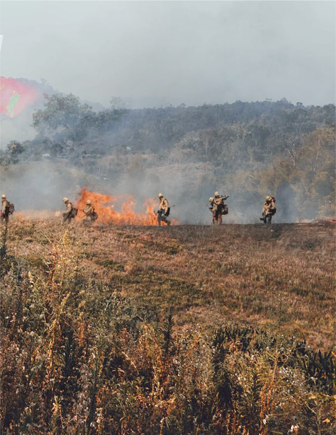 A group of firefighters are fighting a fire in a field.