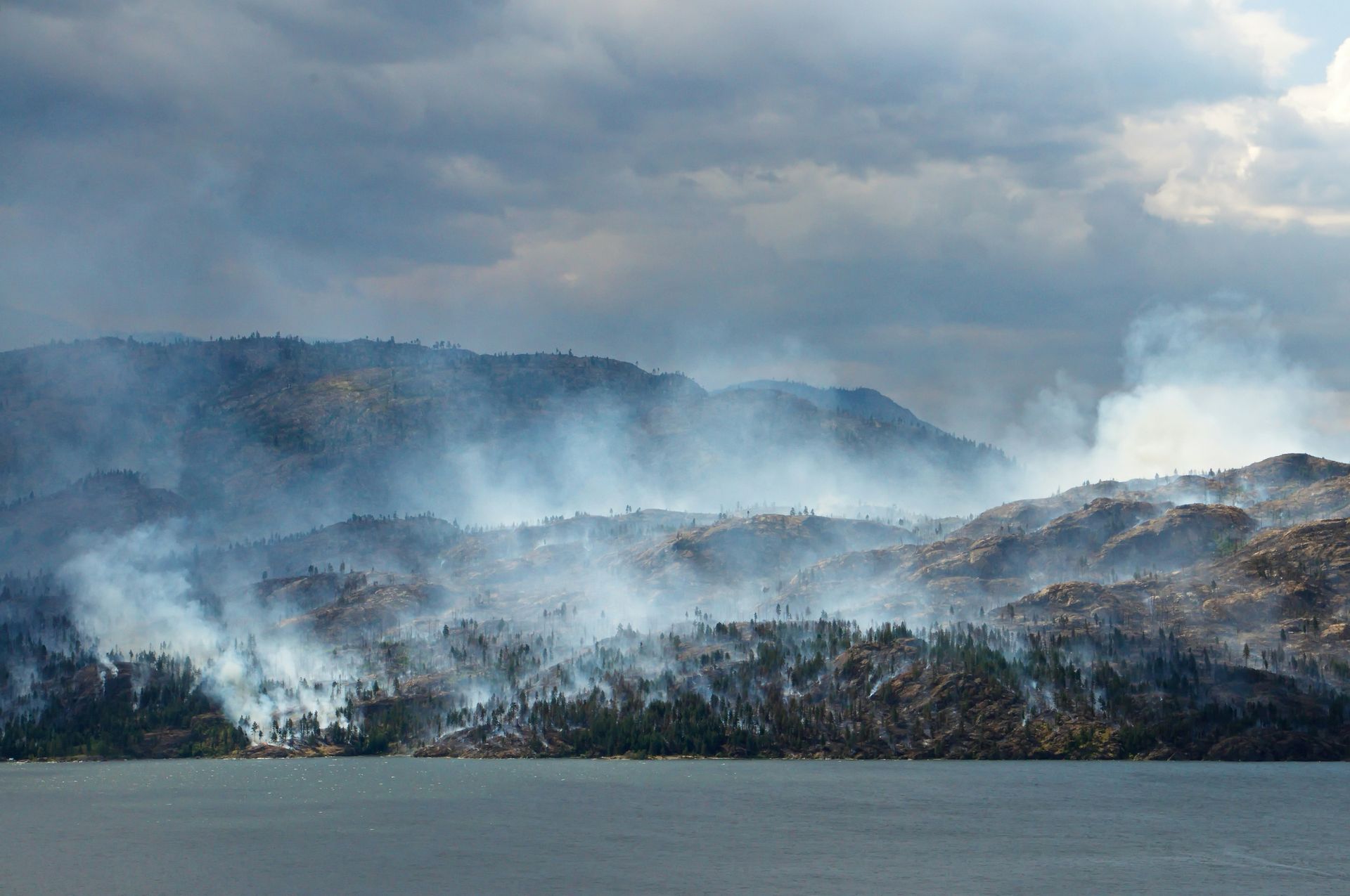 Hill burned by wildfire.