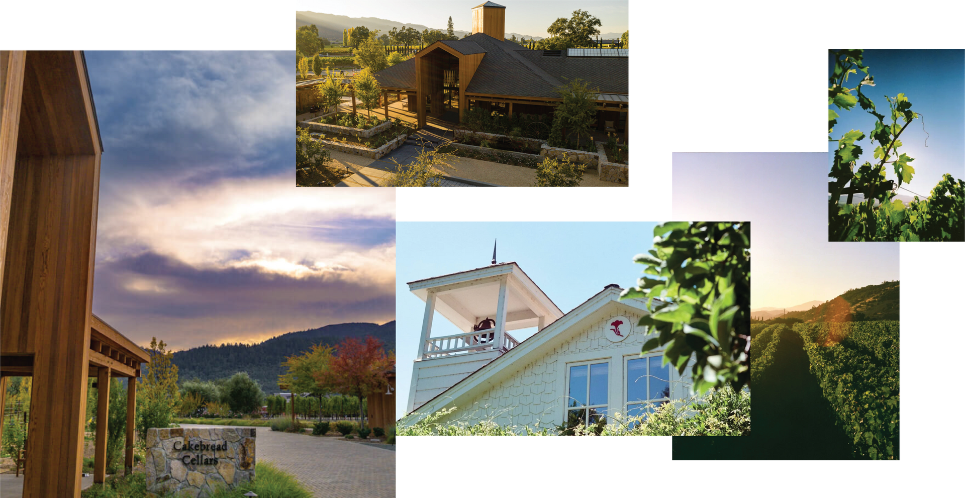 A collage of pictures shows wineries with mountains in the background