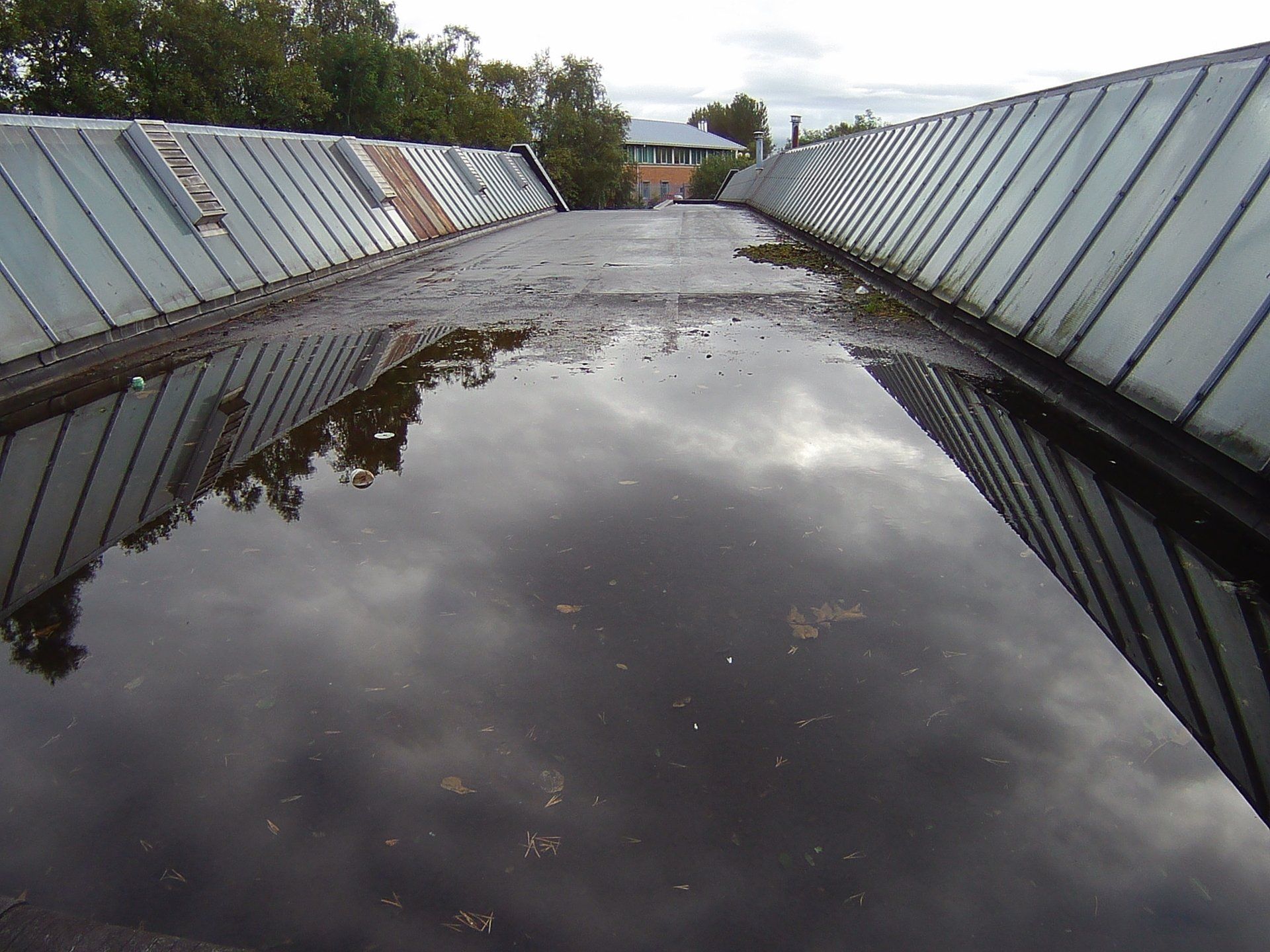 Rooftop swiming pool