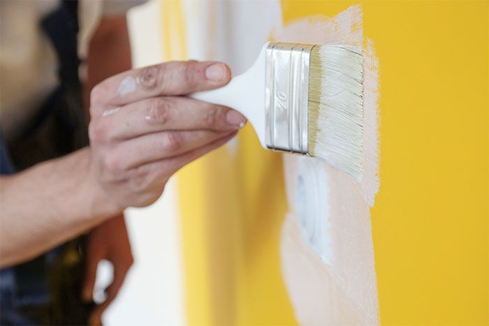 REVESTA PINTURAS PROFESIONALES