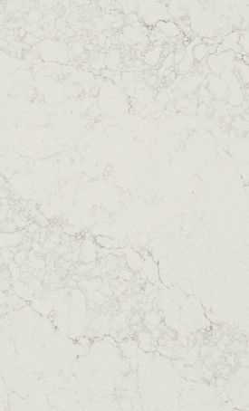 Calacatta Nuvo