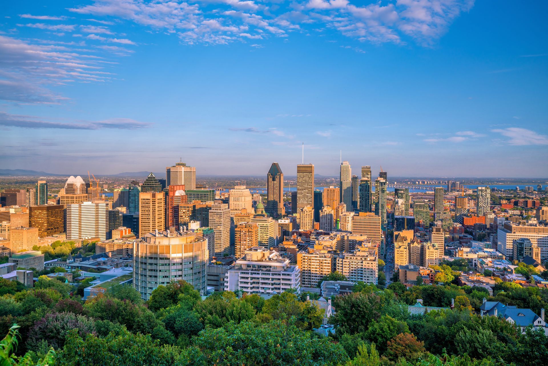 An aerial view of a city skyline with trees in the foreground.