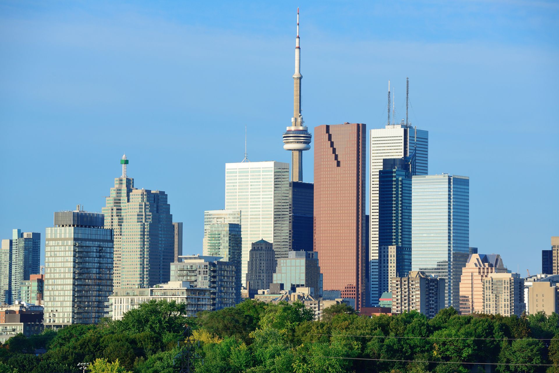 A city skyline with trees in the foreground