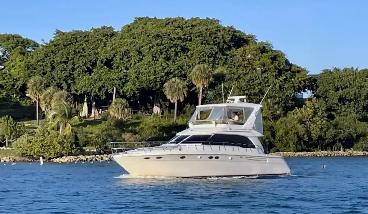 White motor yacht cruising on blue water near a lush, green shoreline with palm trees.